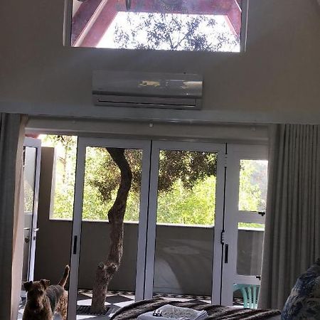 בלומפונטייין Bella Blue Guesthouse מראה חיצוני תמונה