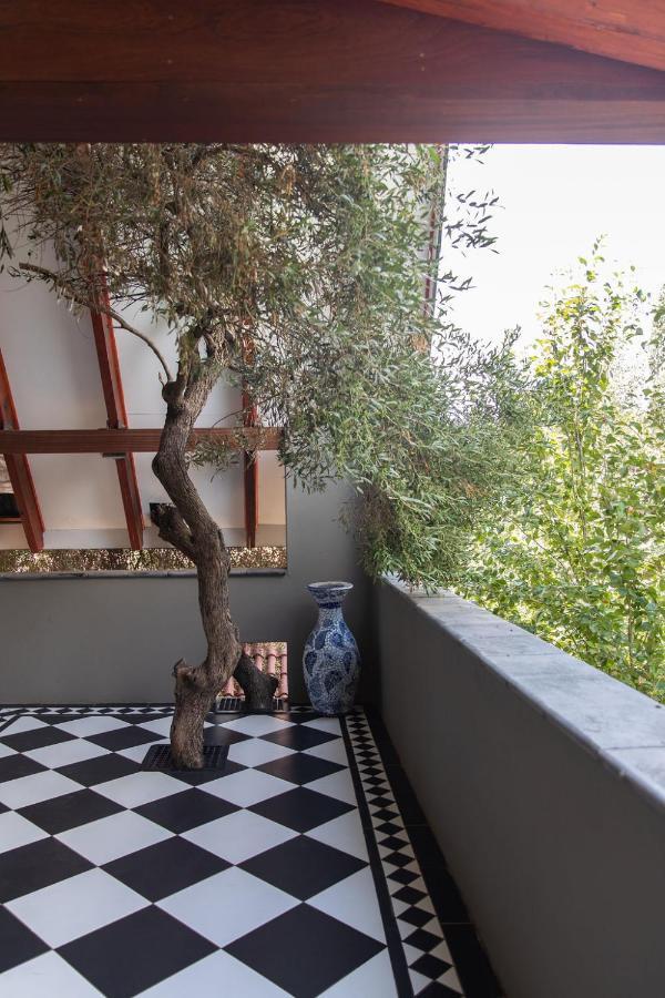 בלומפונטייין Bella Blue Guesthouse מראה חיצוני תמונה