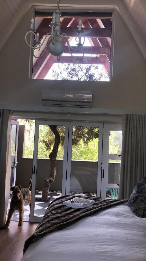 בלומפונטייין Bella Blue Guesthouse מראה חיצוני תמונה